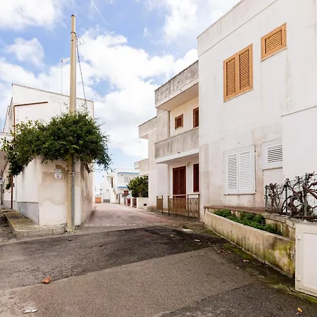 Summer Flat -