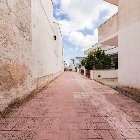 Summer Flat -