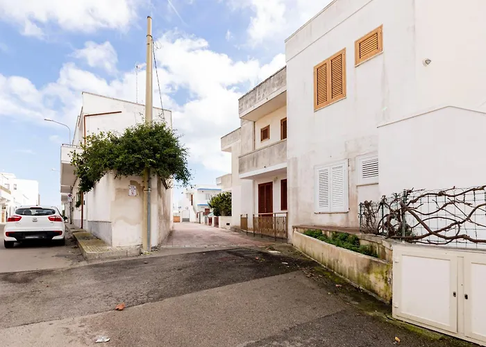 Summer Flat -